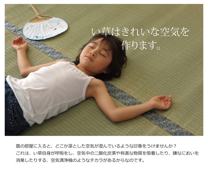 サイズが い草 上敷き カーペット 日本製 畳カバー 糸引織 江戸間4.5畳 261×261 イ草 畳 ござ 和室 夏 抗菌 防臭 リビング 模様替え 赤やPayPayモール店 - 通販 - PayPayモール たなくなり