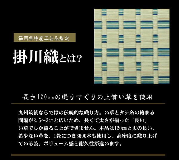 い草 ラグ カーペット 掛川織 江戸間6畳 261×352 丈夫 耐久性