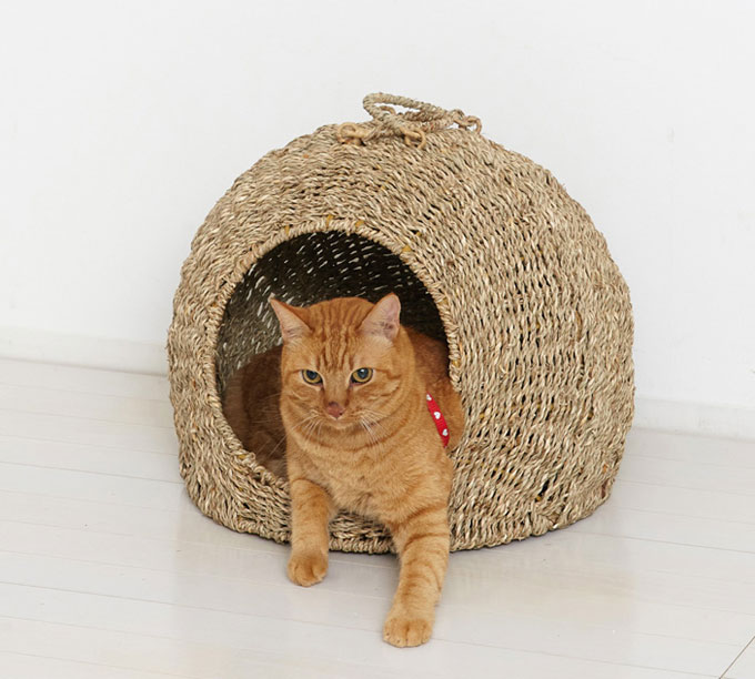 ペットハウス 猫 室内用 ドーム型 猫ちぐら 中サイズ つぐら 