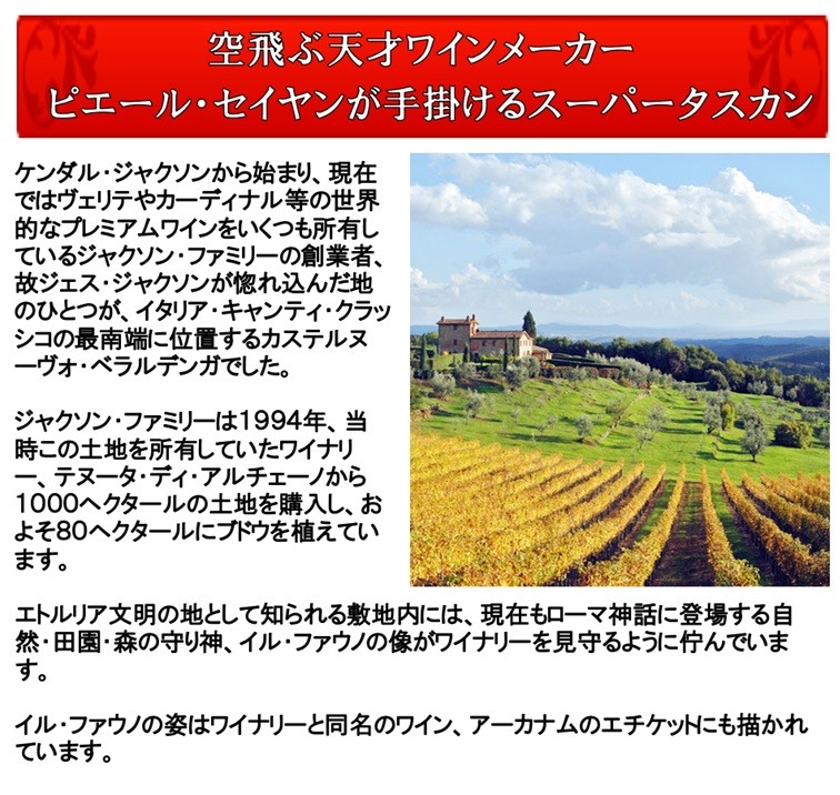 POZZO DI SAN DONATO 2007 赤ワイン ペトリュスやオーパス ワンも成し得なかった快挙を遂げたヴェリテの