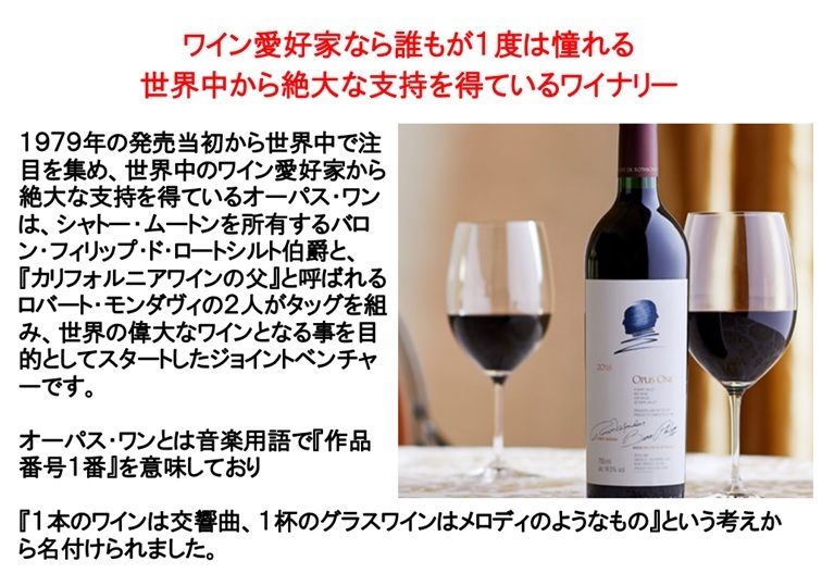 オーパス ワン 2019年 750ml (オーパスワン Opus One ワイン