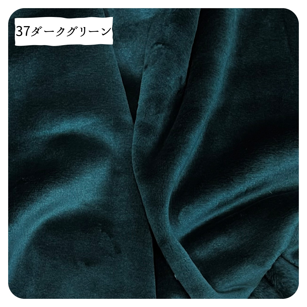 商品画像12