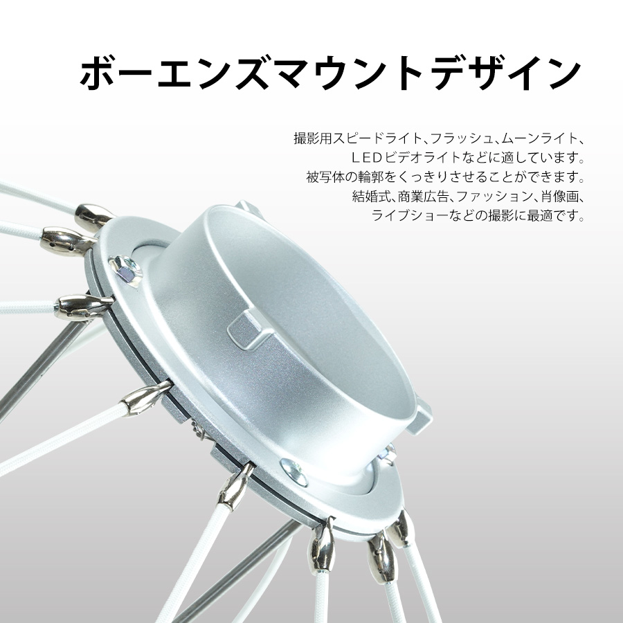 GODOX 【日本公認代理店品】ゴドックス Godox CS-65D ランタン式