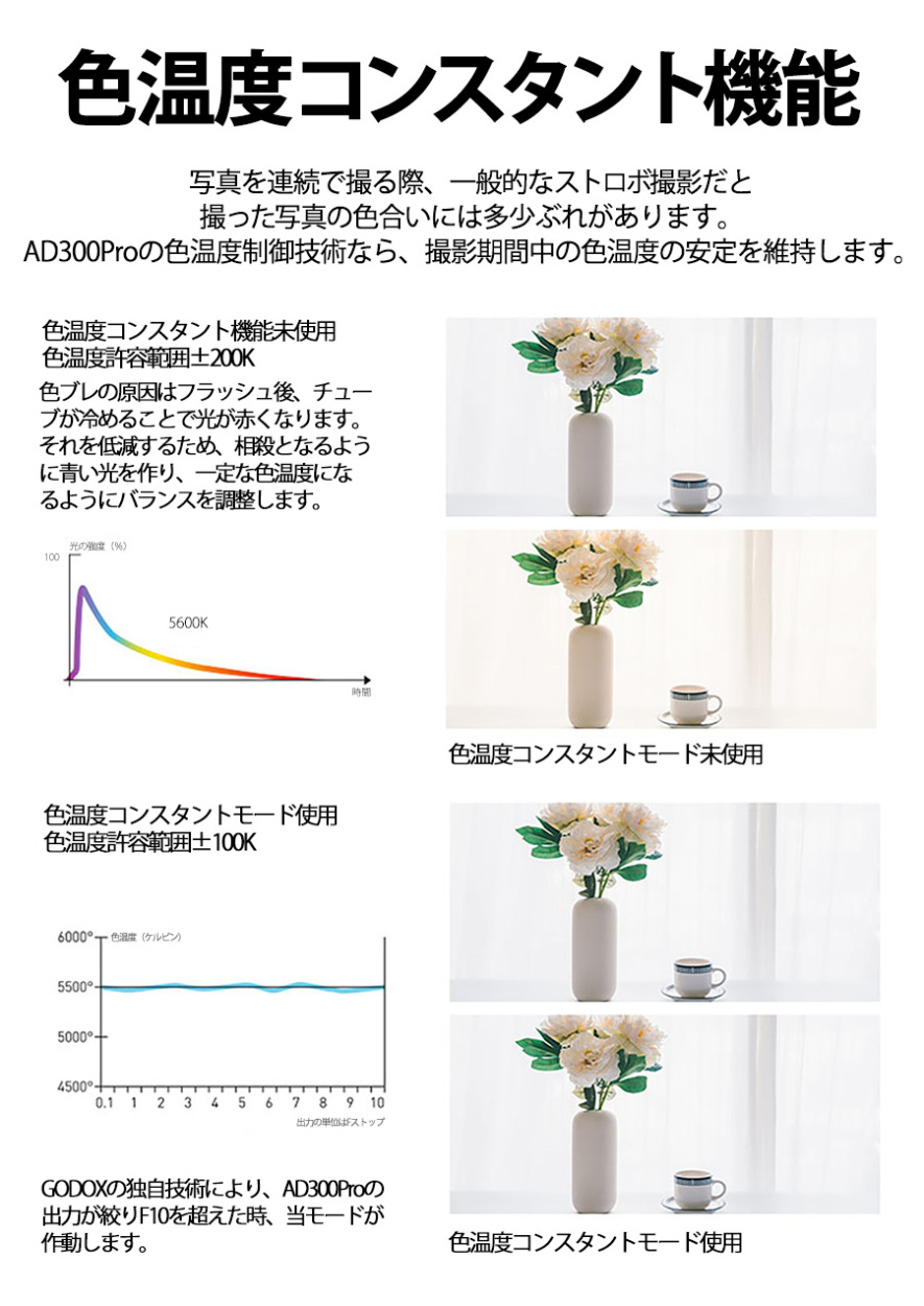 日本公認代理店品] GODOX ゴドックス AD300Pro 300W バッテリー別売り