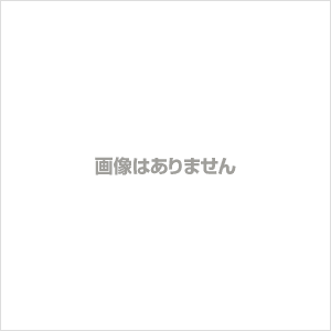 コンフォートシューズ 日本製 本革 レディース otfk-elegance