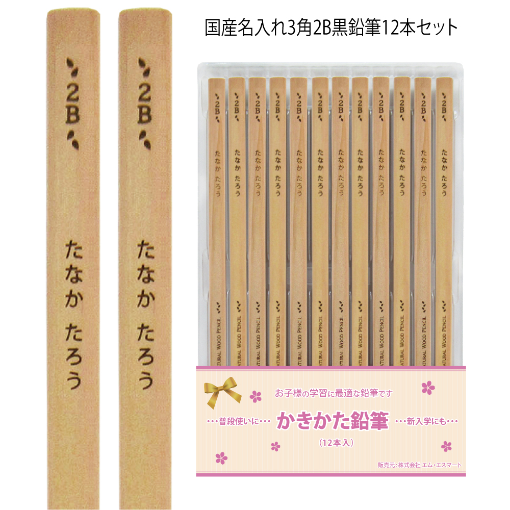 110本　まとめ売り　鉛筆　赤鉛筆　青鉛筆　三角鉛筆　2B B HB まとめ買いは1ダース609円より／ 新デザイン登場 お得な 名入れ 鉛筆