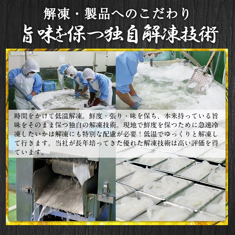 あおりいかお試しセット（むき身、ゲソ、いかそ〜めん）