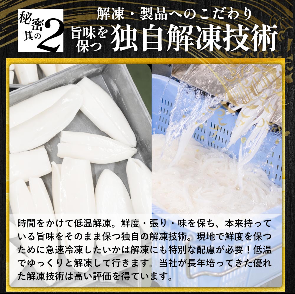 アオリイカ いかそうめん 600g（200g×3P）｜海鮮 刺身用 お取り寄せ