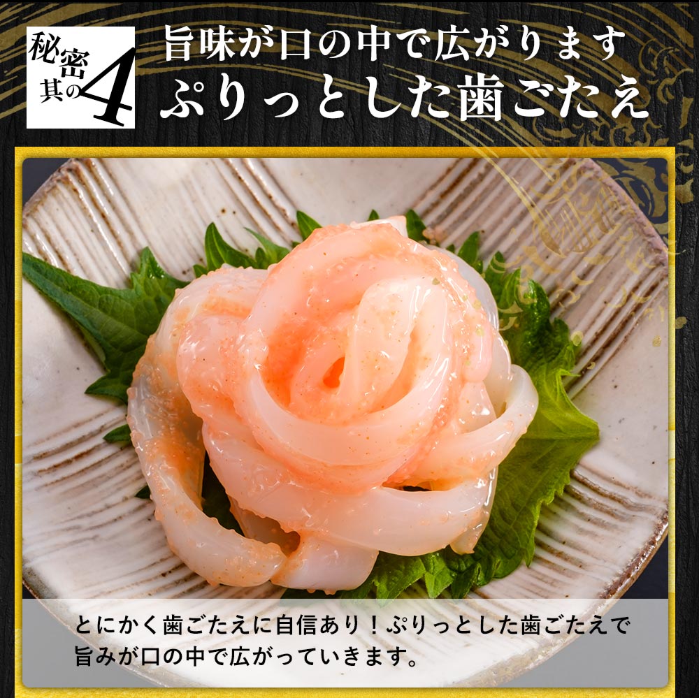 アオリイカ いかそうめん 1kg あおりいか いか 刺身用 天ぷら 生冷凍
