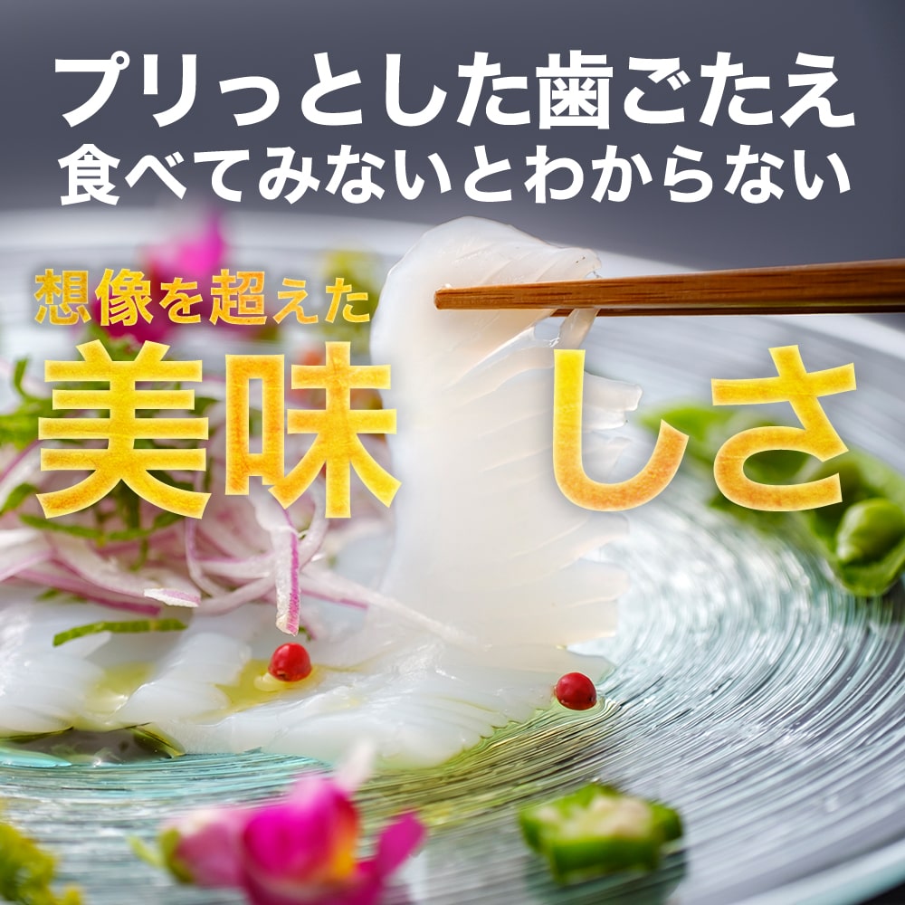 あおりいか むき身 1kg