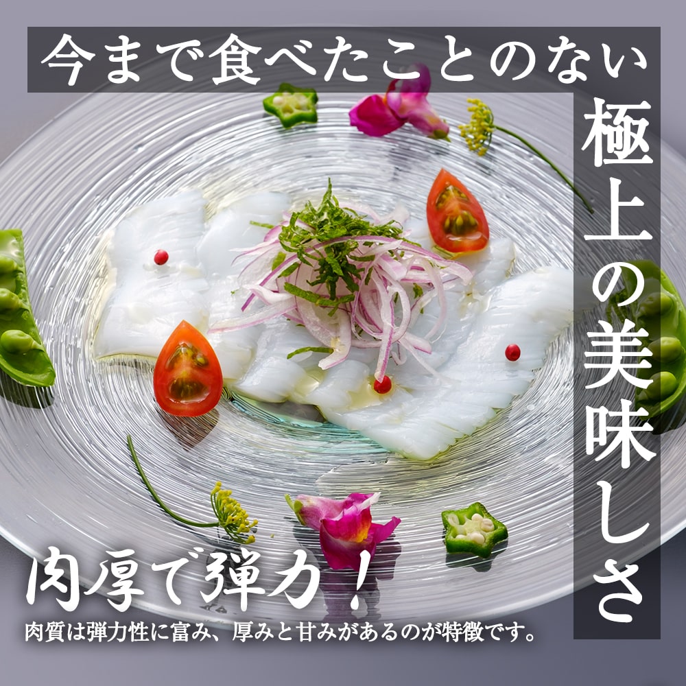 あおりいか むき身 1kg