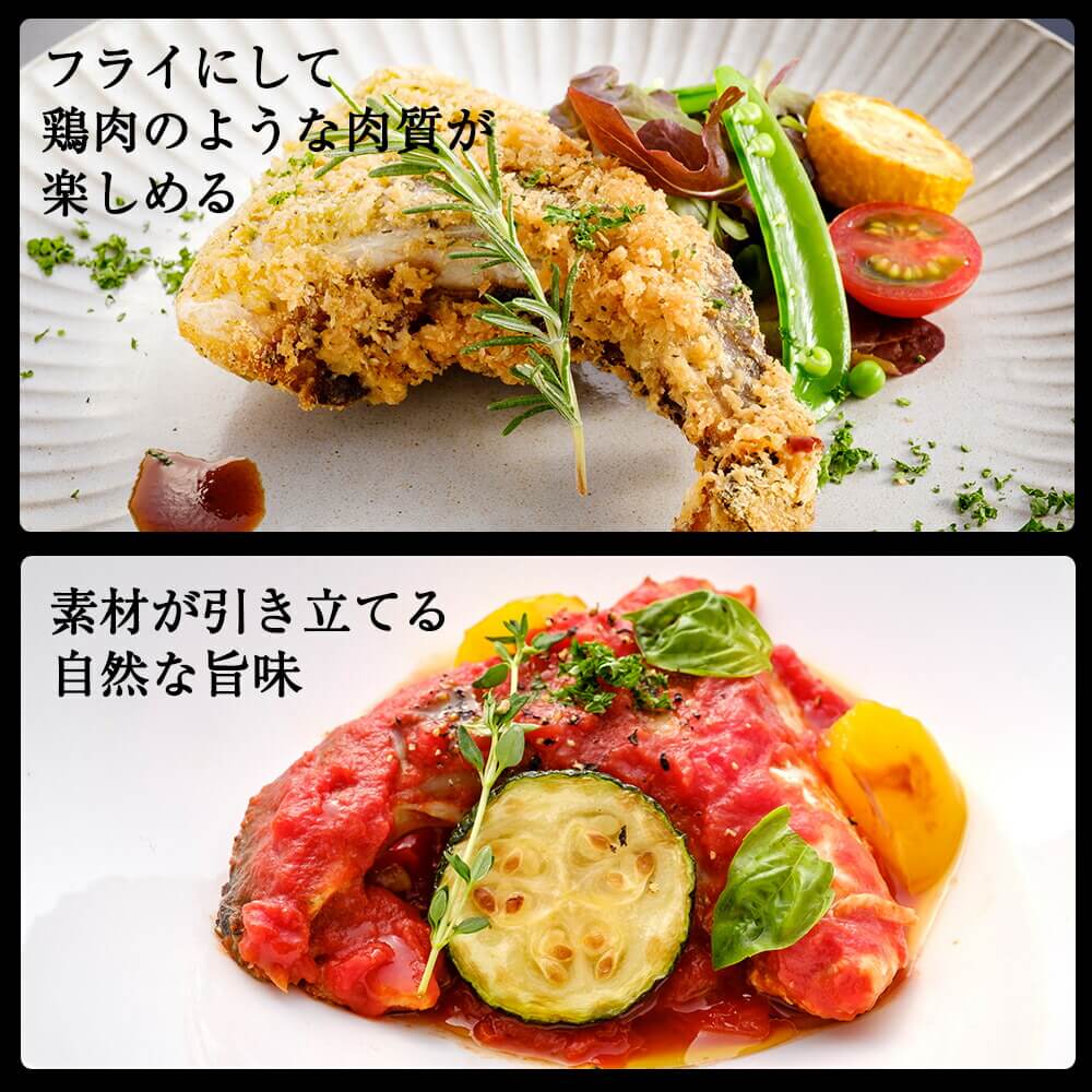 新鮮 国産 かんぱちカマ（2切入り）×3パック