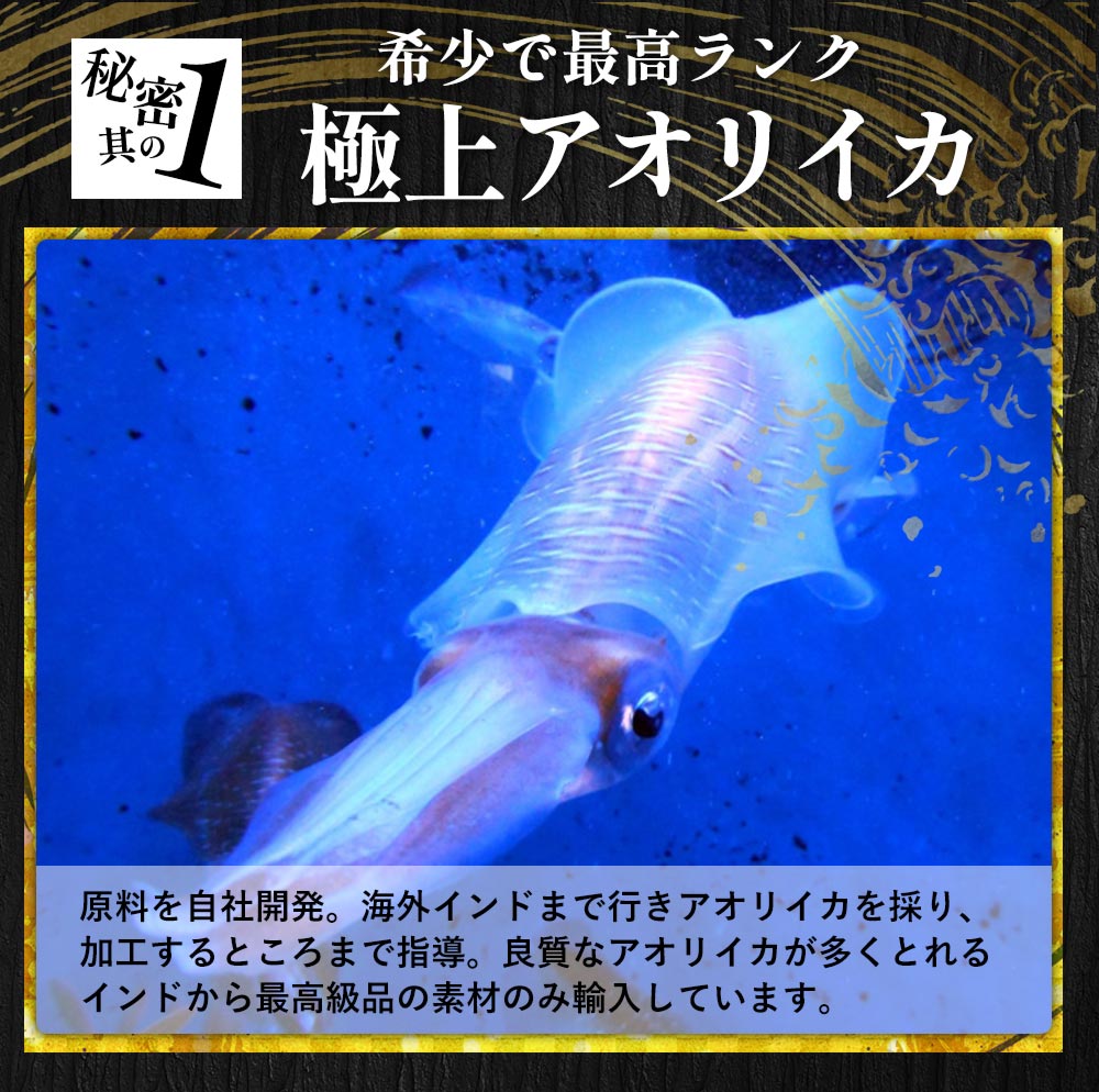 いかそ〜めん200gx5パック