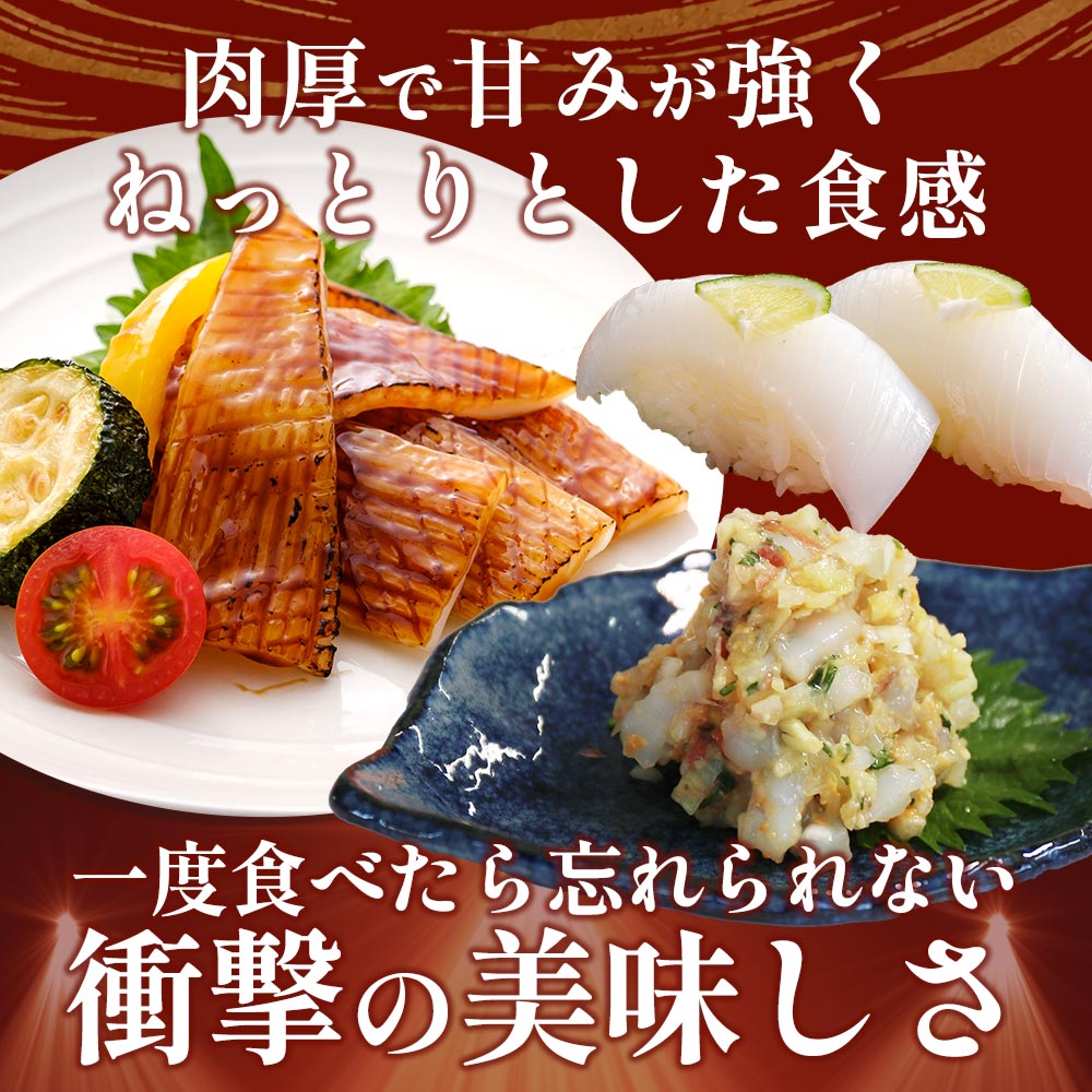 あおりいかお試しセット（むき身、ゲソ、いかそ〜めん）