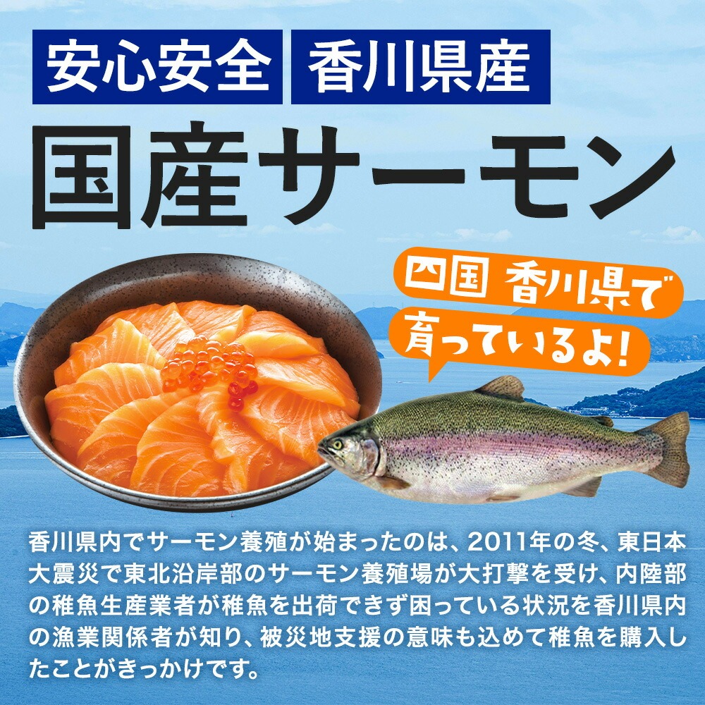オリーブサーモン フィーレ 1kg 国産 讃岐 サーモン 鮭 刺身 炙り 冷凍