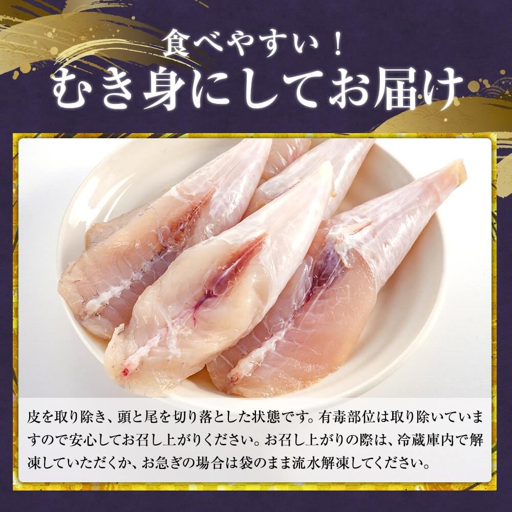 新鮮 国産 ふぐ 香川県産プリプリふぐのむき身（刺身用）300ｇ×1パック