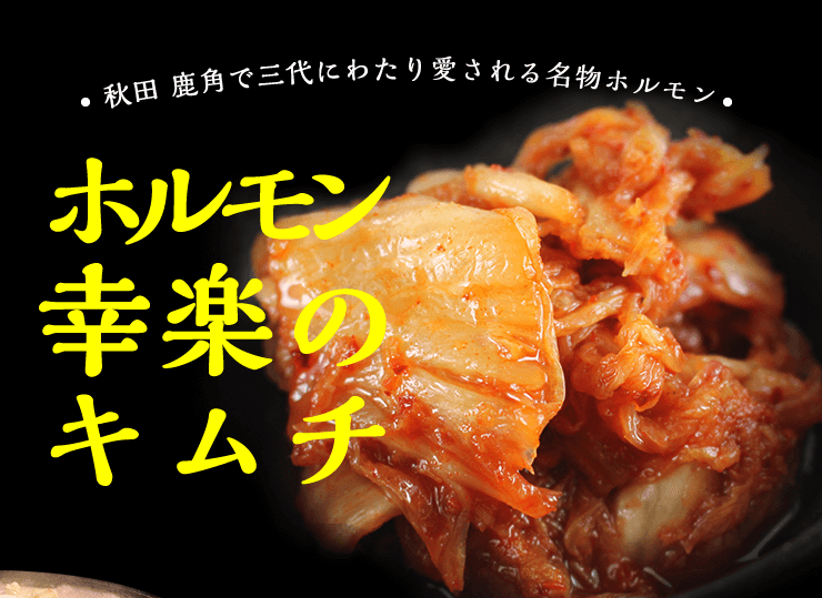 ホルモン幸楽 キムチ 300g 冷凍 :kouraku-kimuchi:あきたごころ - 通販 - Yahoo!ショッピング