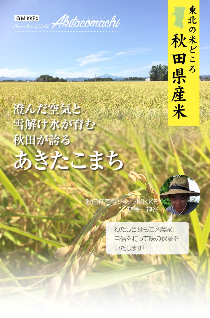 あきたこまち 令和5年産 新米 米農家の店長が選ぶ 秋田 県南 あきたこまち 令和5年産 新米 米農家の店長が選ぶ 秋田 県南