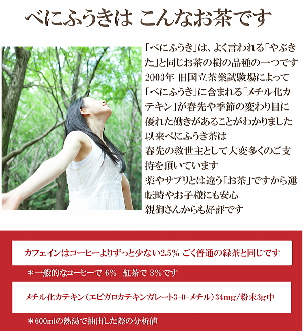 べにふうきとは？
