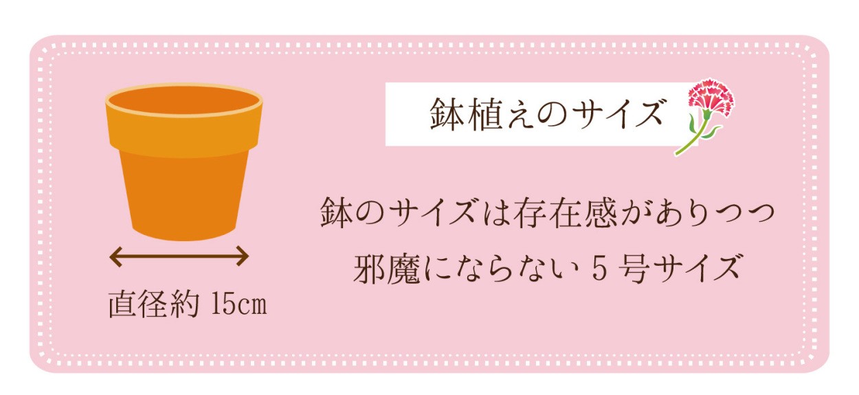 母の日