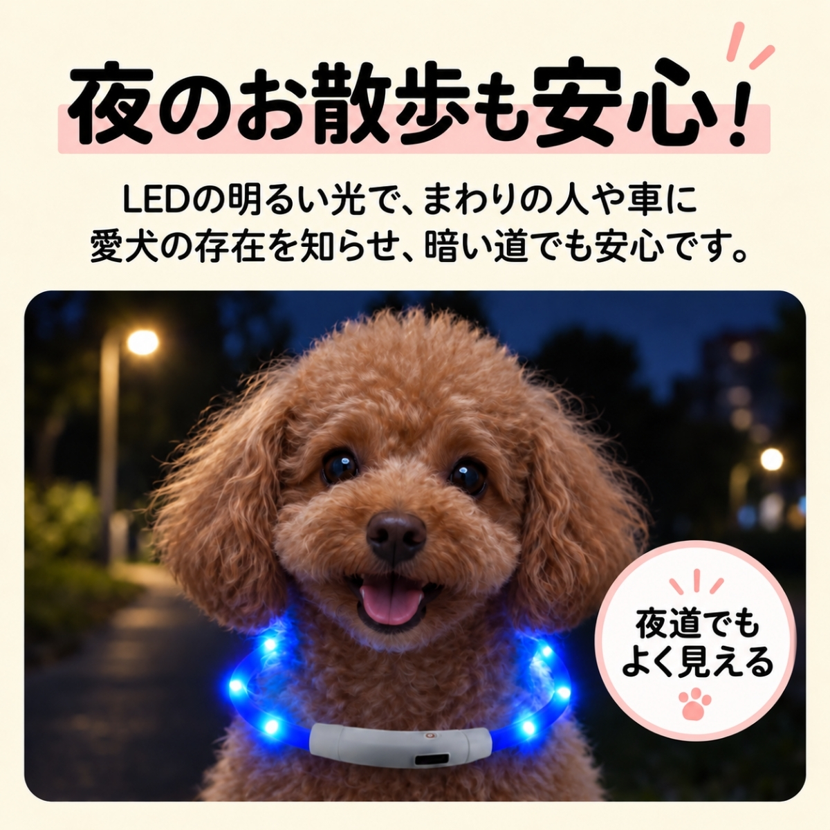 pet-001-03.jpg