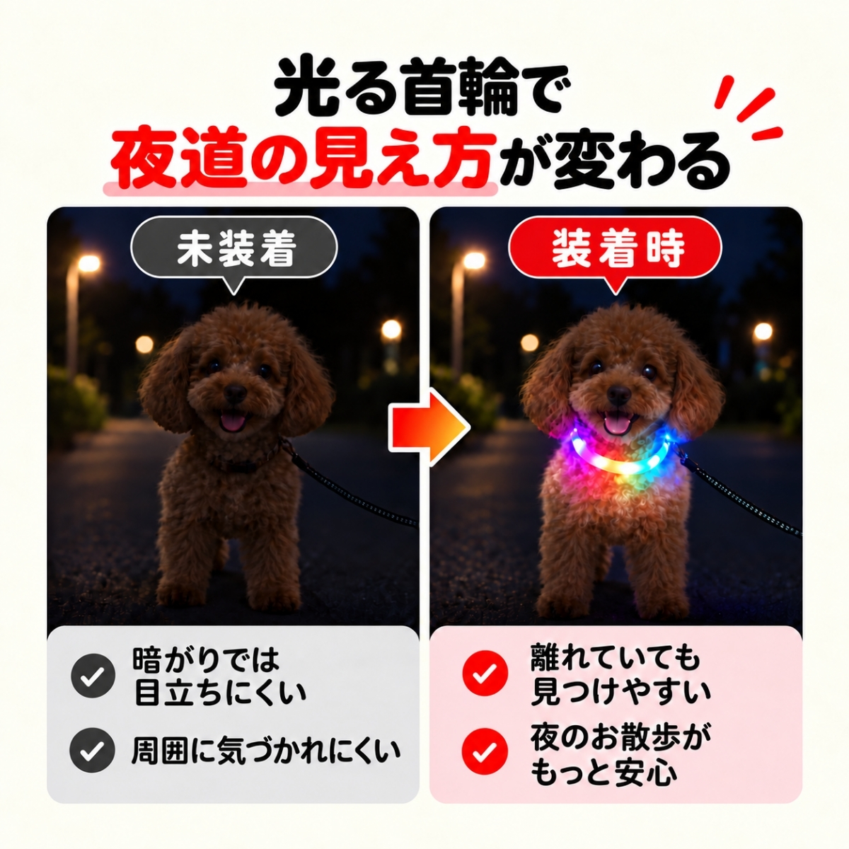 pet-001-04.jpg