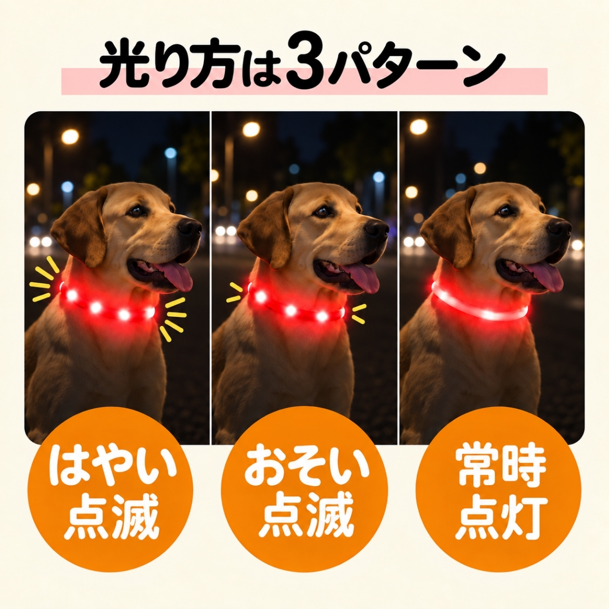 pet-001-05.jpg
