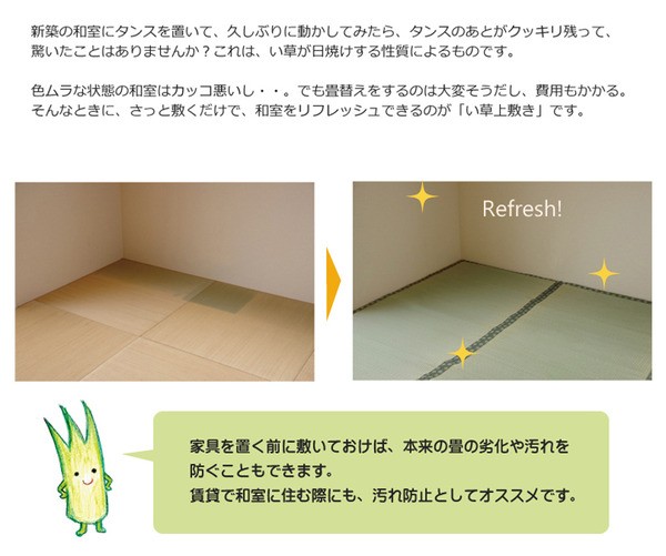日本製 い草 上敷き/ラグマット (双目織 本間4.5畳 約286×286cm) 抗菌 