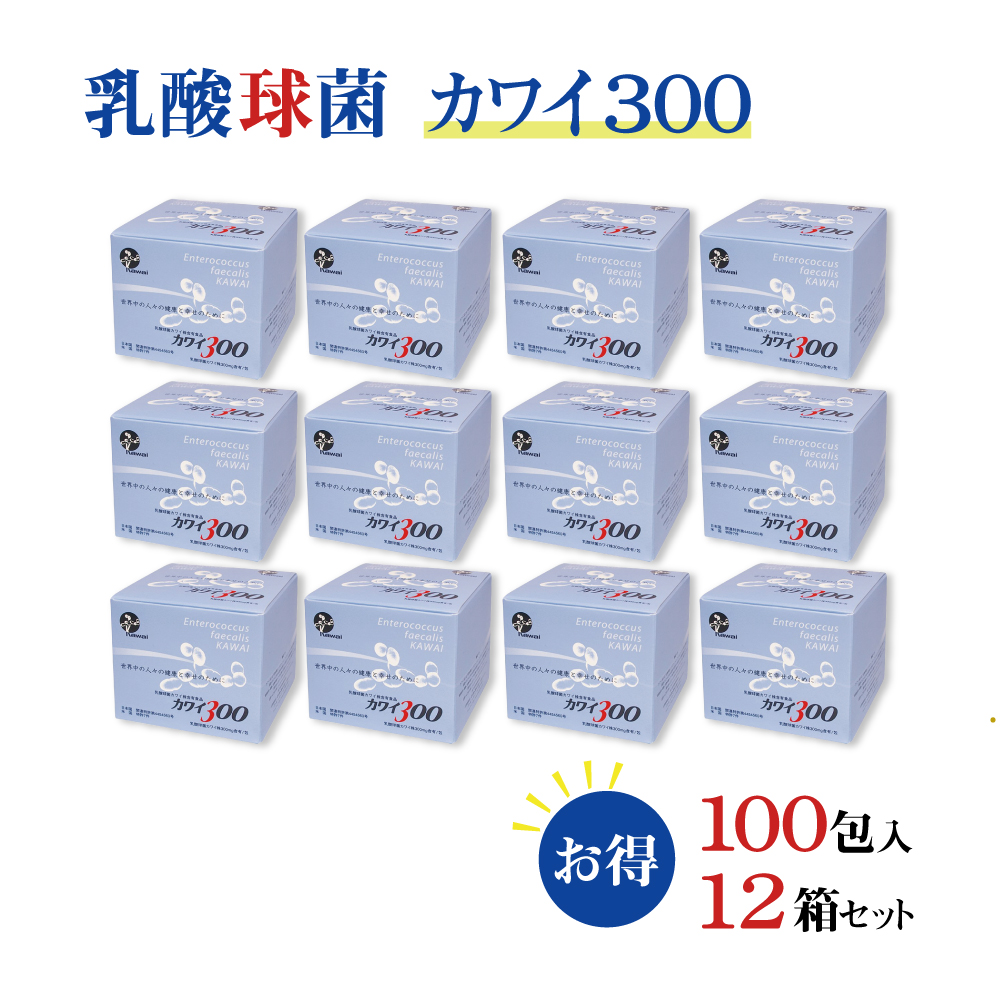 正規代理店 カワイ 乳酸菌 kawai カワイ株 300 12箱 乳酸球菌カワイ株 300mg含有 包 1g 100包 スティックタイプ 健康食品 健康サプリ 乳酸菌 サプリメント 河