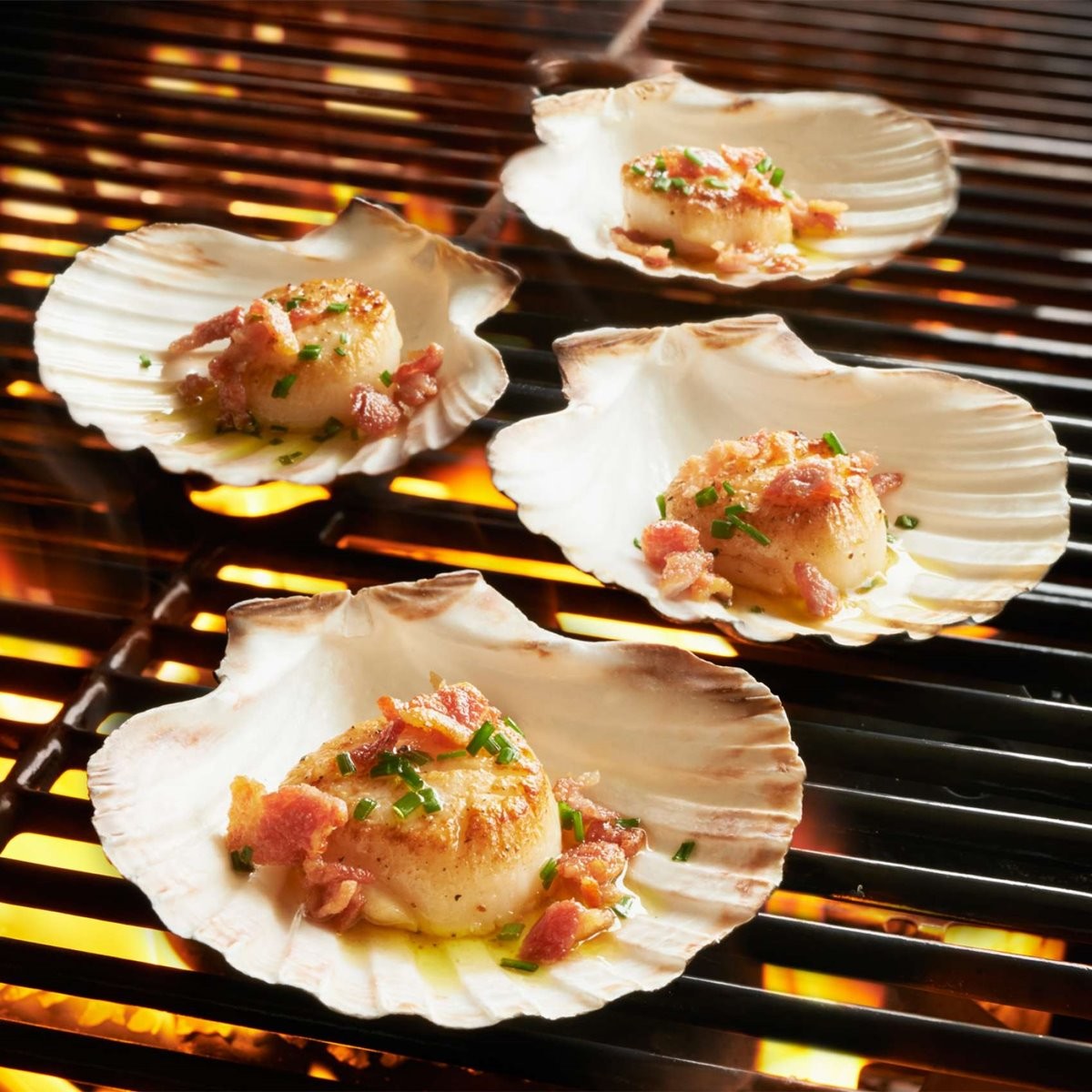 大きい貝殻 グリルシェル セット King Scallop Grilling Shells, Set