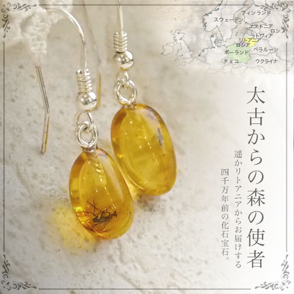 シルバー925 ピアス琥珀虫入り8.22 g