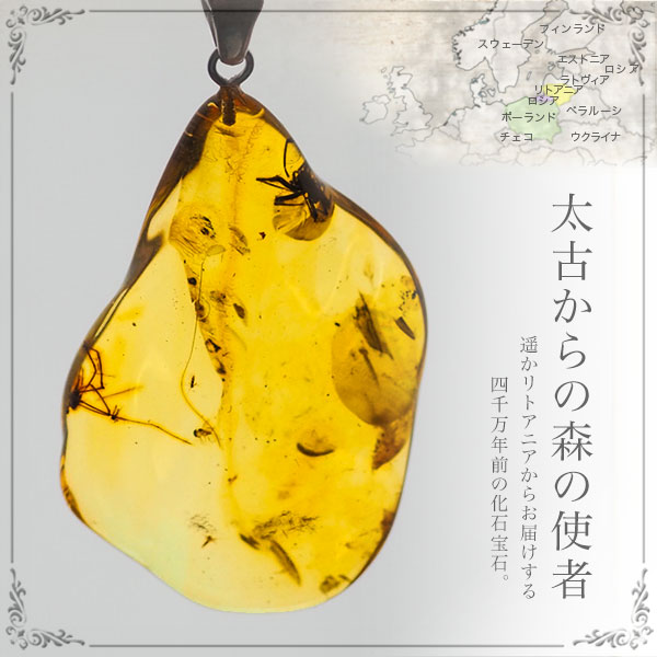 虫入り琥珀ネックレス 送料無料 シルバー Silver925 コレクション