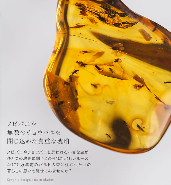 虫入り琥珀ネックレス 送料無料 シルバー Silver925 コレクション