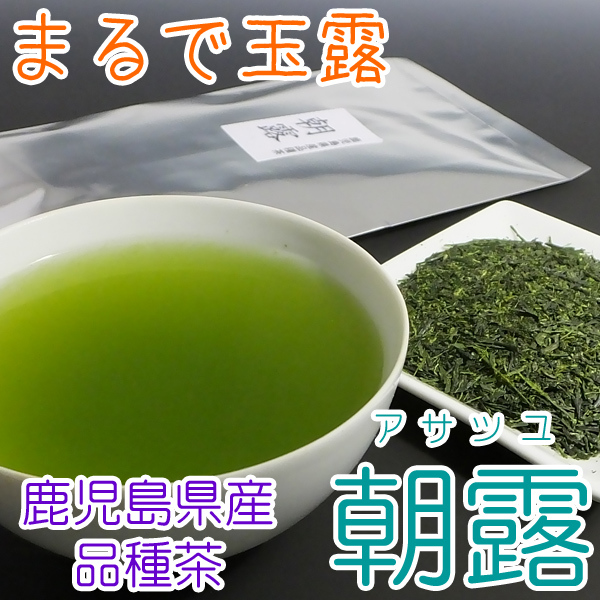 酒器 酒杯 ぐいのみ ぐい呑み 【鯉】 万古焼 祥司作 日本酒 玉露 父の