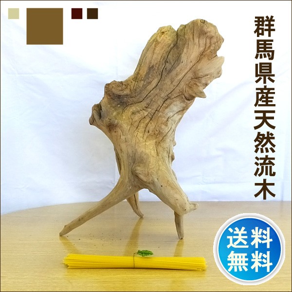 流木 販売 群馬 天然木 インテリア 中型 クリアニス加工 ryuboku-011 