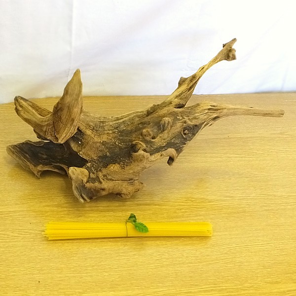 ryuboku-004_1.jpg