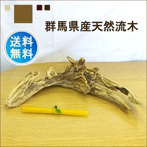流木 販売 群馬 天然木 インテリア 中型 ryuboku-001 : 有限会社