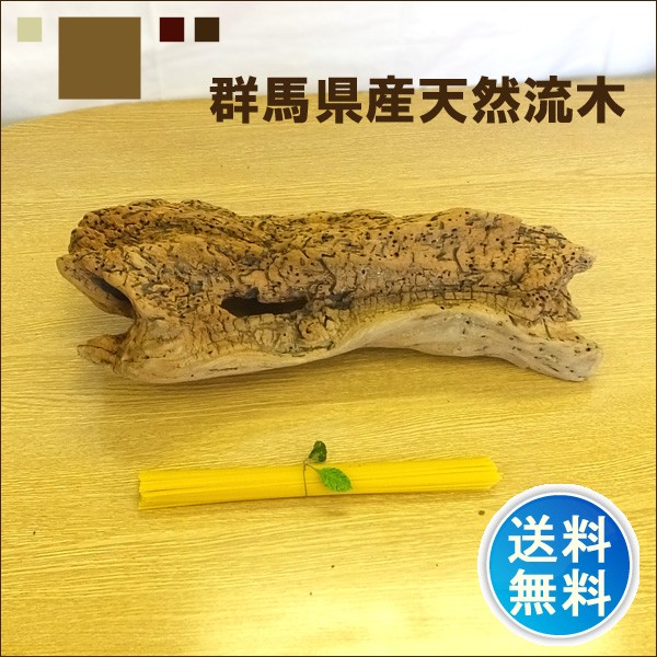 流木 販売 群馬 天然木 インテリア 中型 ryuboku-003 : 有限会社 流木 販売 群馬 天然木 インテリア 中型 ryuboku-003 : 有限会社