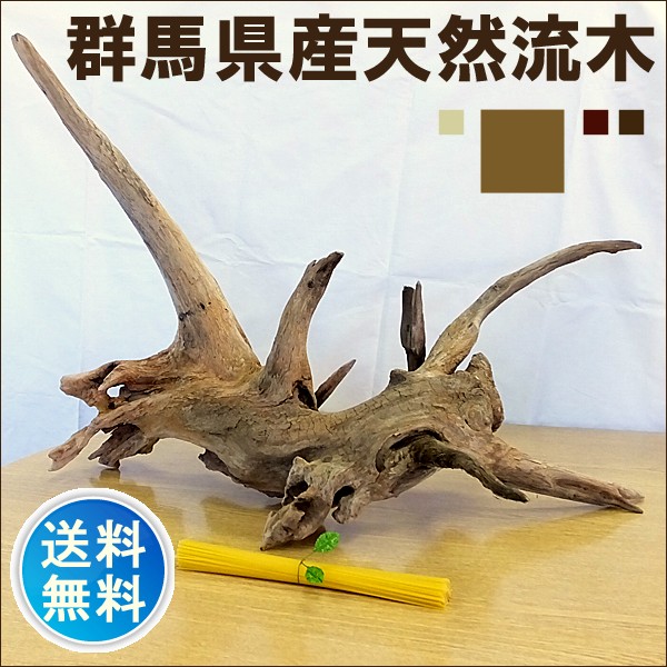 流木 販売 群馬 天然木 インテリア 大型 ryuboku-013 : 有限会社