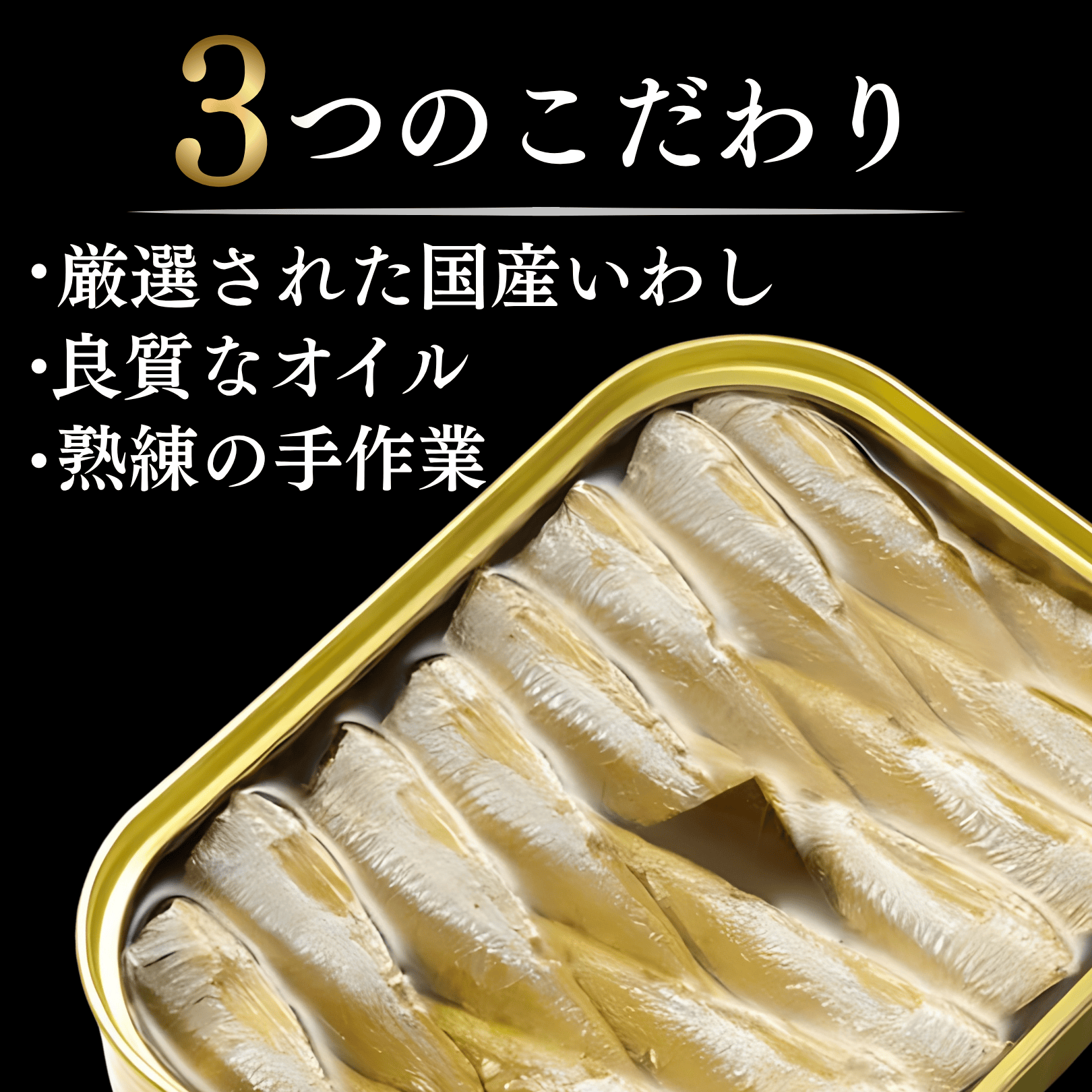 竹中缶詰 天の橋立 オイルサーディン 鰯 いわしオイル漬け 魚 備蓄用