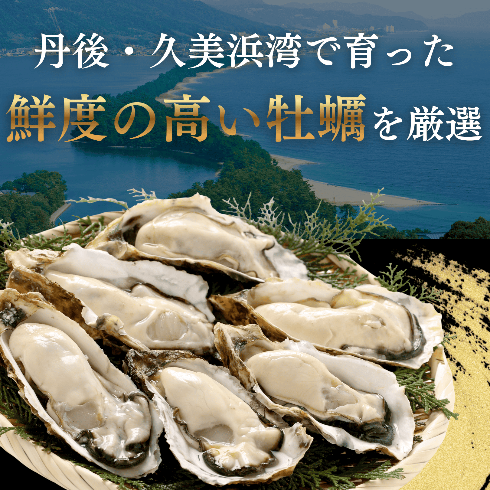 天の橋立 牡蠣帆立缶詰 オリーブオイル・醤油漬け マルハニチロ まるずわいがに缶 天の橋立かき燻製油漬け｜缶詰通販の専門店mr.kanso