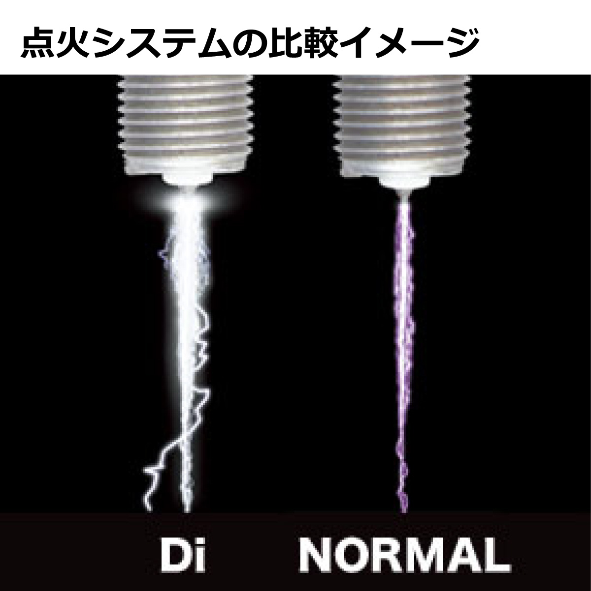 sp-dis-008_6.jpg