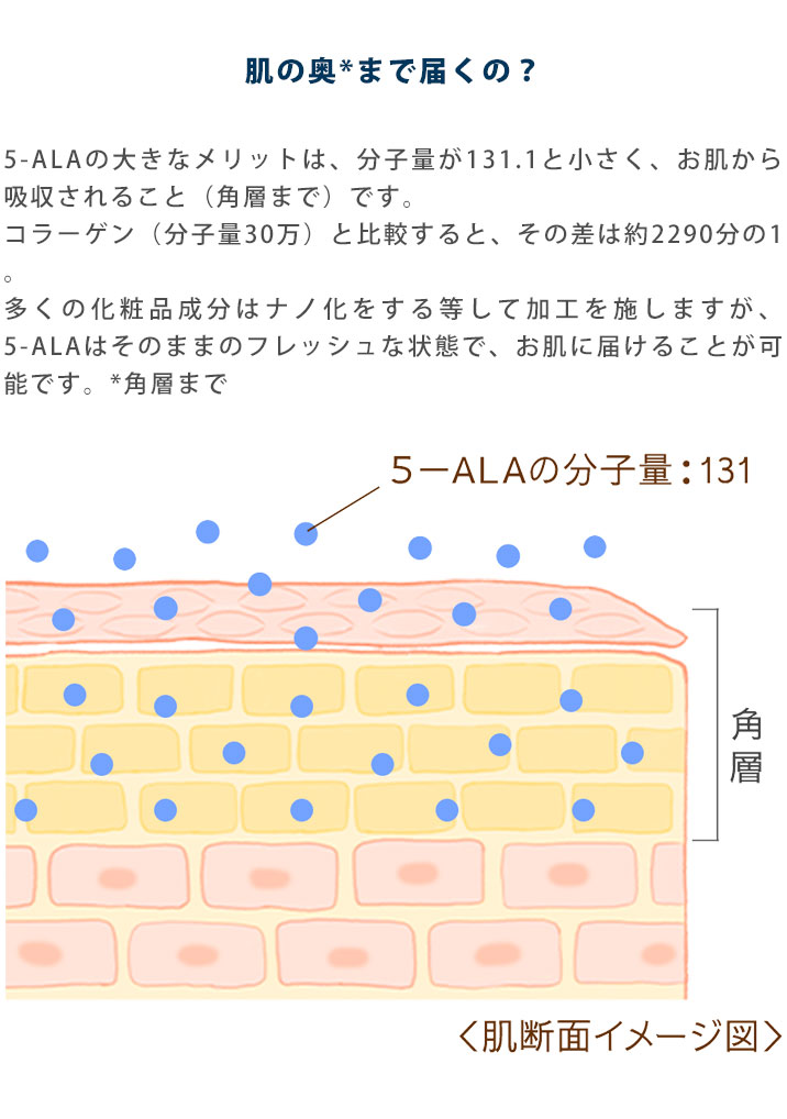 新品ALAVITA ヴァイタルクリーム 30g 5-ALA アミノレブリン酸 ヴァイタルクリーム - 5-ALA製品オンライン販売ショップ【5ALA
