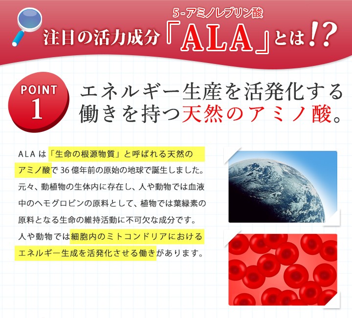 注目の活力成分「ALA」とは！？ ポイント1 エネルギーの生産を活性化する働きを持つ天然のアミノ酸