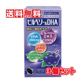 プレビジョン 湧永製薬 ビルベリー&DHA 120粒 : あるあるの森 - 通販