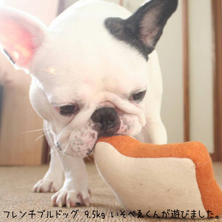 いそべゐ