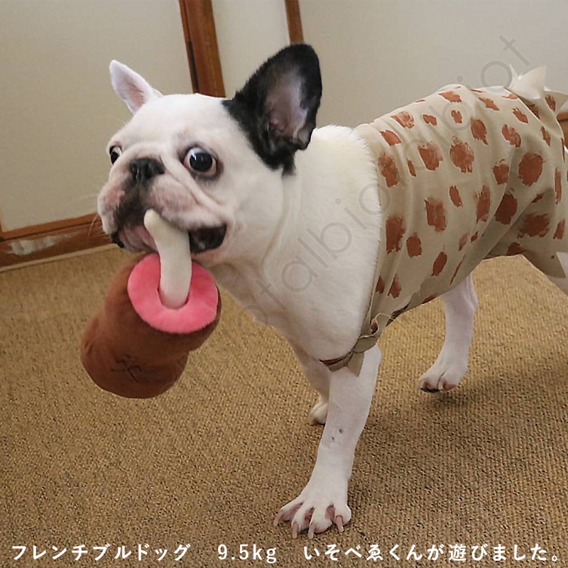 使用img