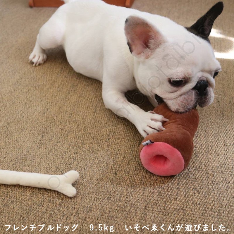 犬のおもちゃ 知育おもちゃ 骨付き肉 14162 : omo-niku : albiot