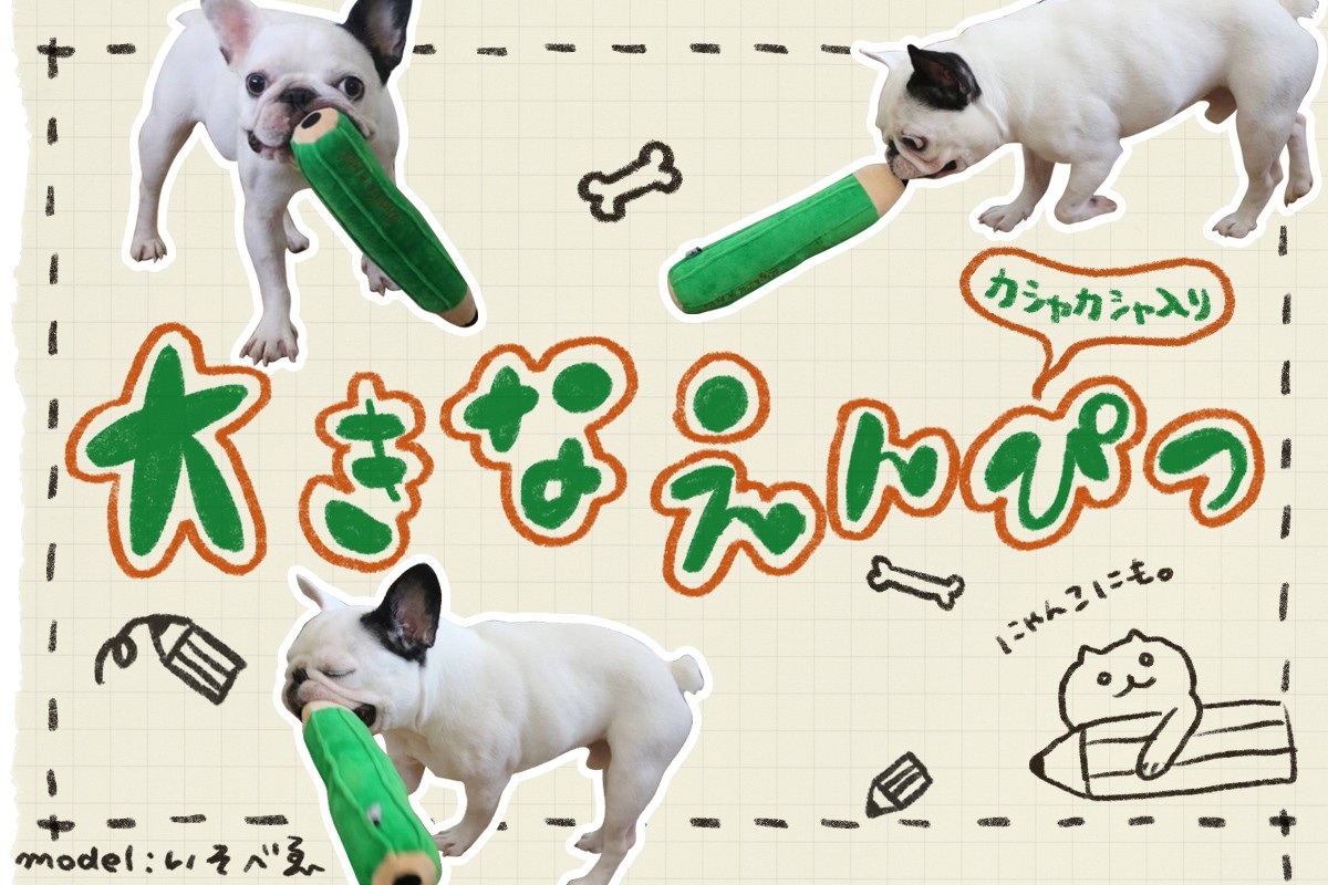 犬のおもちゃ 大きなえんぴつ 14159【爆買】 : albiot - 通販 - Yahoo