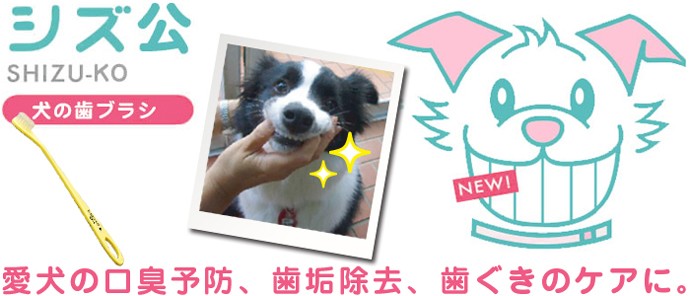 愛犬用歯ブラシ シズ公 ラージヘッド ソフトタイプ :za-skdl:albiot - 通販 - Yahoo!ショッピング